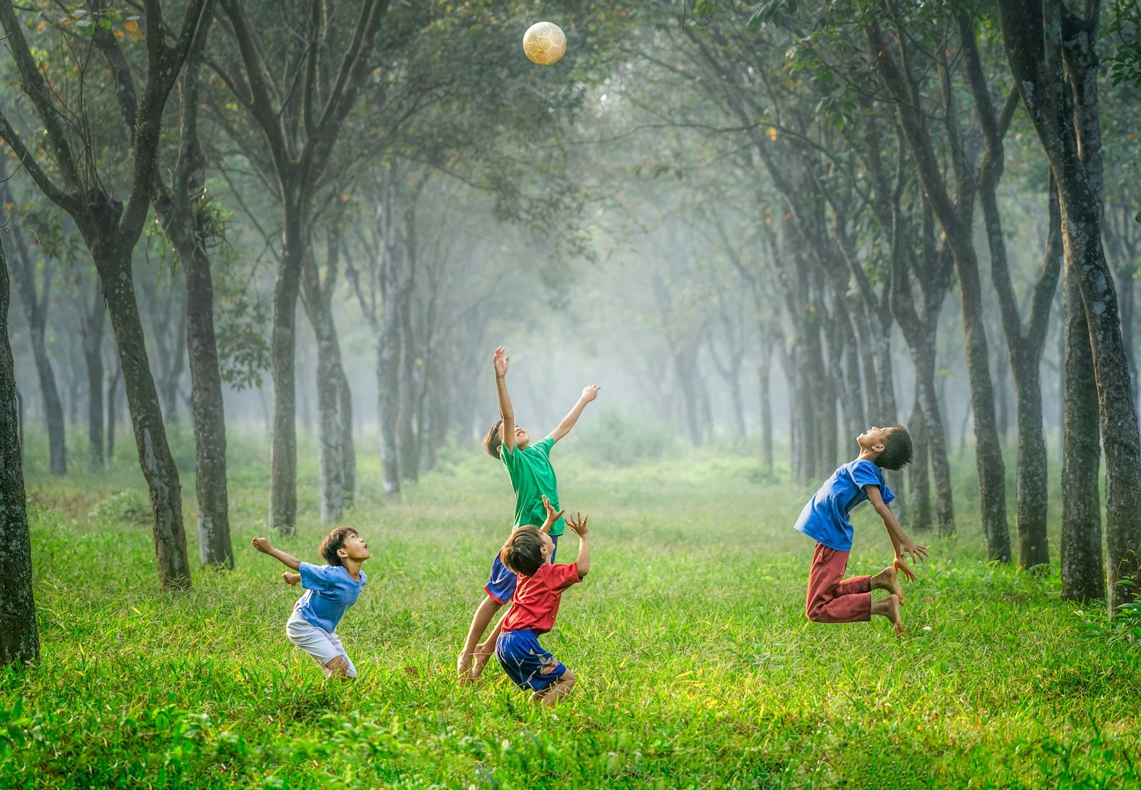 Boys playing ball on green grass